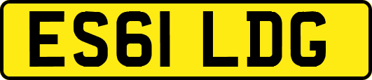 ES61LDG