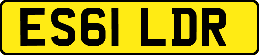 ES61LDR