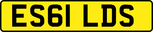 ES61LDS
