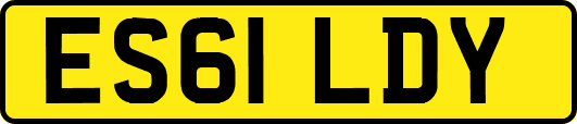 ES61LDY