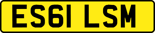 ES61LSM