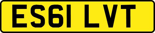 ES61LVT
