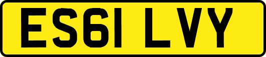 ES61LVY