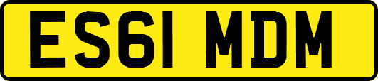 ES61MDM