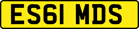 ES61MDS
