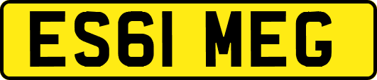 ES61MEG