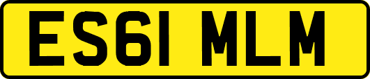 ES61MLM