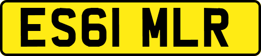 ES61MLR