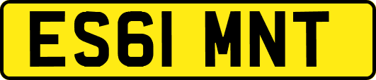 ES61MNT