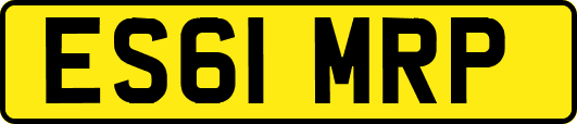ES61MRP