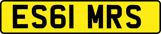 ES61MRS