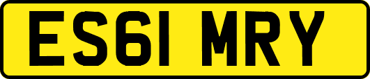 ES61MRY