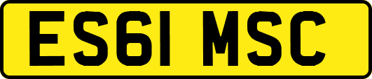 ES61MSC