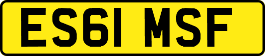 ES61MSF