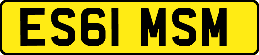 ES61MSM