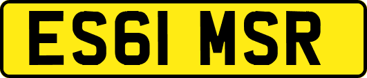 ES61MSR