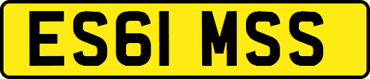 ES61MSS