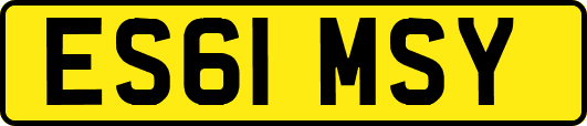 ES61MSY