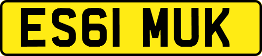 ES61MUK