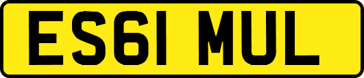 ES61MUL