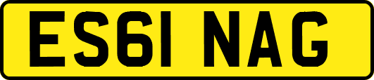 ES61NAG