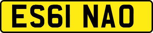 ES61NAO