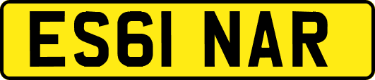 ES61NAR