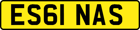 ES61NAS