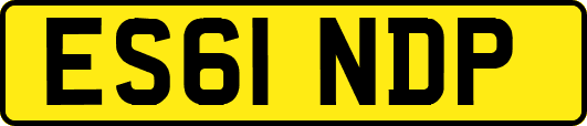 ES61NDP