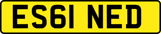 ES61NED