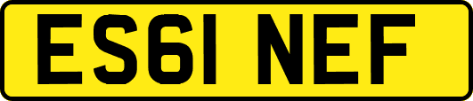 ES61NEF