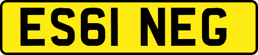 ES61NEG