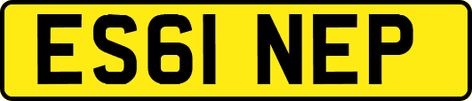 ES61NEP