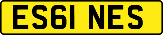 ES61NES