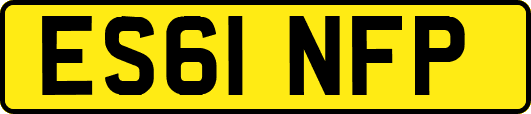ES61NFP