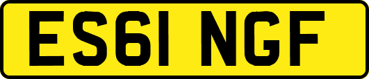 ES61NGF