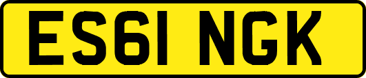 ES61NGK