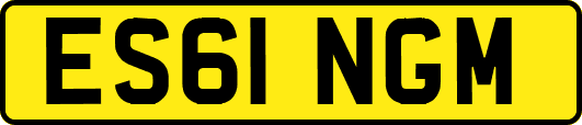 ES61NGM
