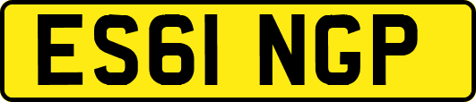 ES61NGP
