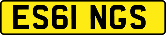 ES61NGS