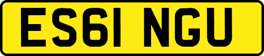 ES61NGU