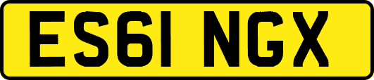 ES61NGX