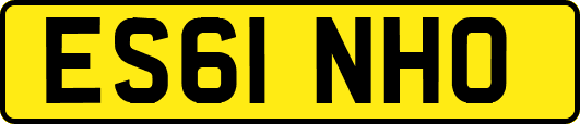 ES61NHO