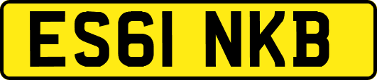ES61NKB