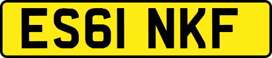ES61NKF