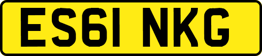 ES61NKG