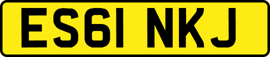 ES61NKJ