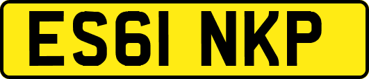 ES61NKP