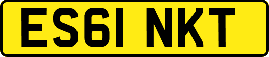 ES61NKT