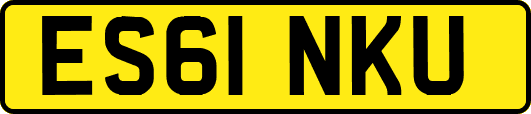 ES61NKU